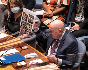 Der russische Botschafter sitzt im VN-Sicherheitsrat und hält ein gedrucktes Blatt mit Bildern in die Luft.