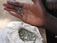 Gambians use marbles vor voting (Photo: https://www.flickr.com/photos/comsec/50108382096/).