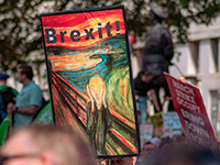 Brexit-Plakat auf einer Demonstration